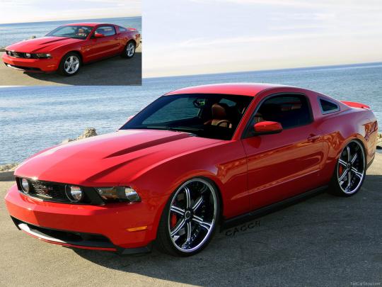 2010 Ford mustang shelby500 #6