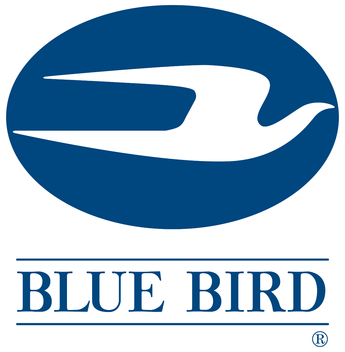 2007 Blue Bird
