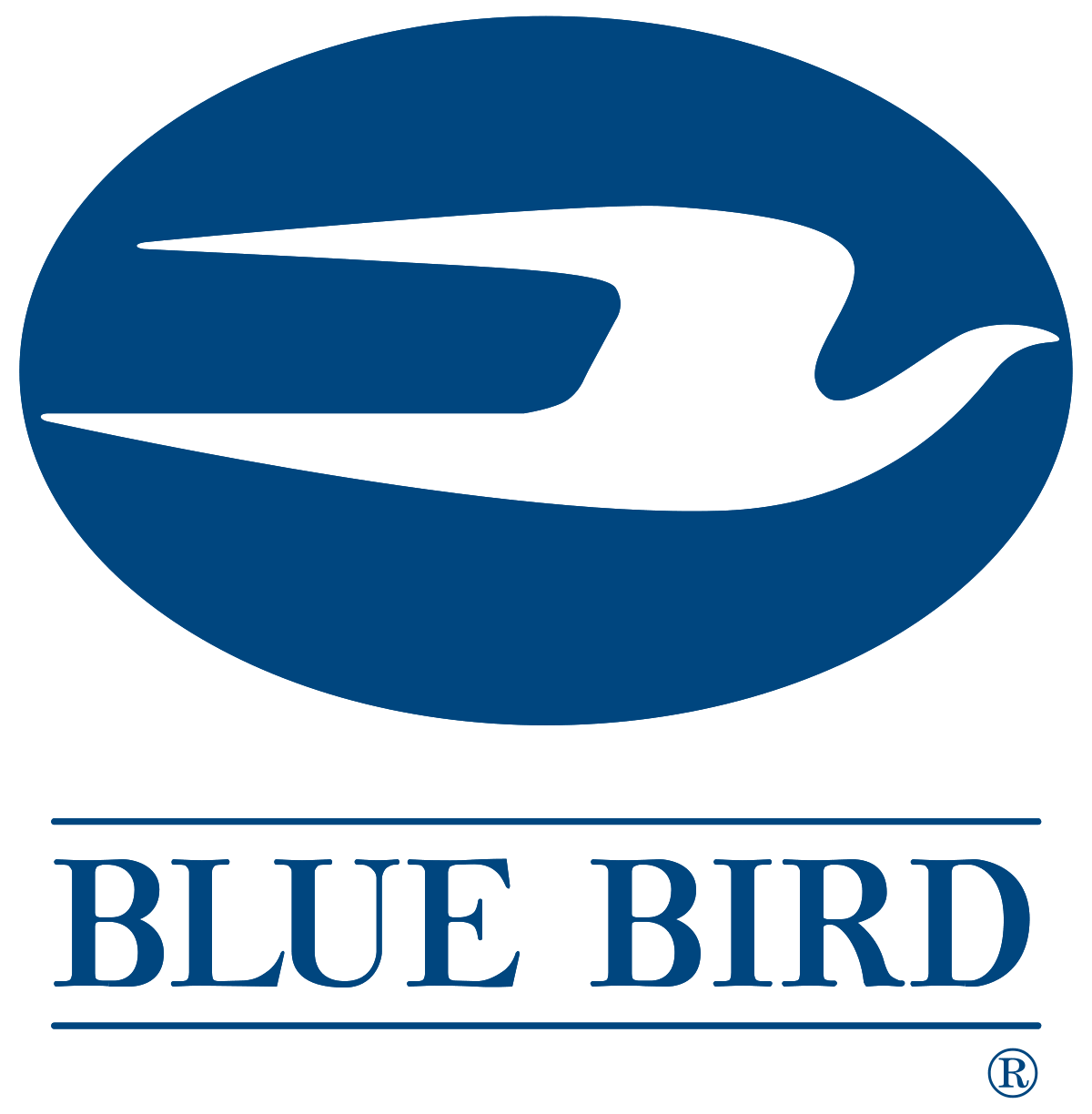 2005 Blue Bird