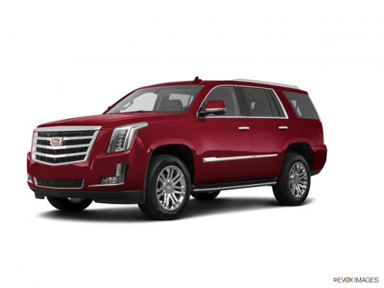 2019 Cadillac Escalade Photo 1