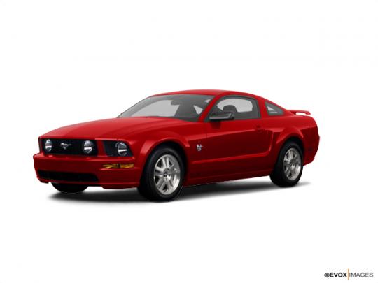 2009 Ford Mustang Photo 1