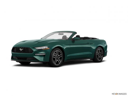 2020 Ford Mustang Photo 1