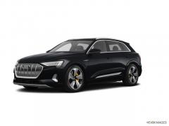 2019 Audi e-tron Photo 1