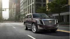 2016 Cadillac Escalade Photo 8