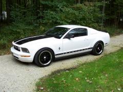 2006 Ford Mustang Photo 8