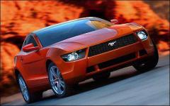 2009 Ford Mustang Photo 4