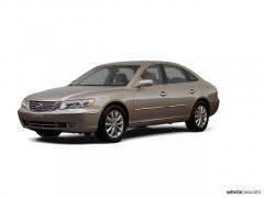 2007 Hyundai Azera Photo 1