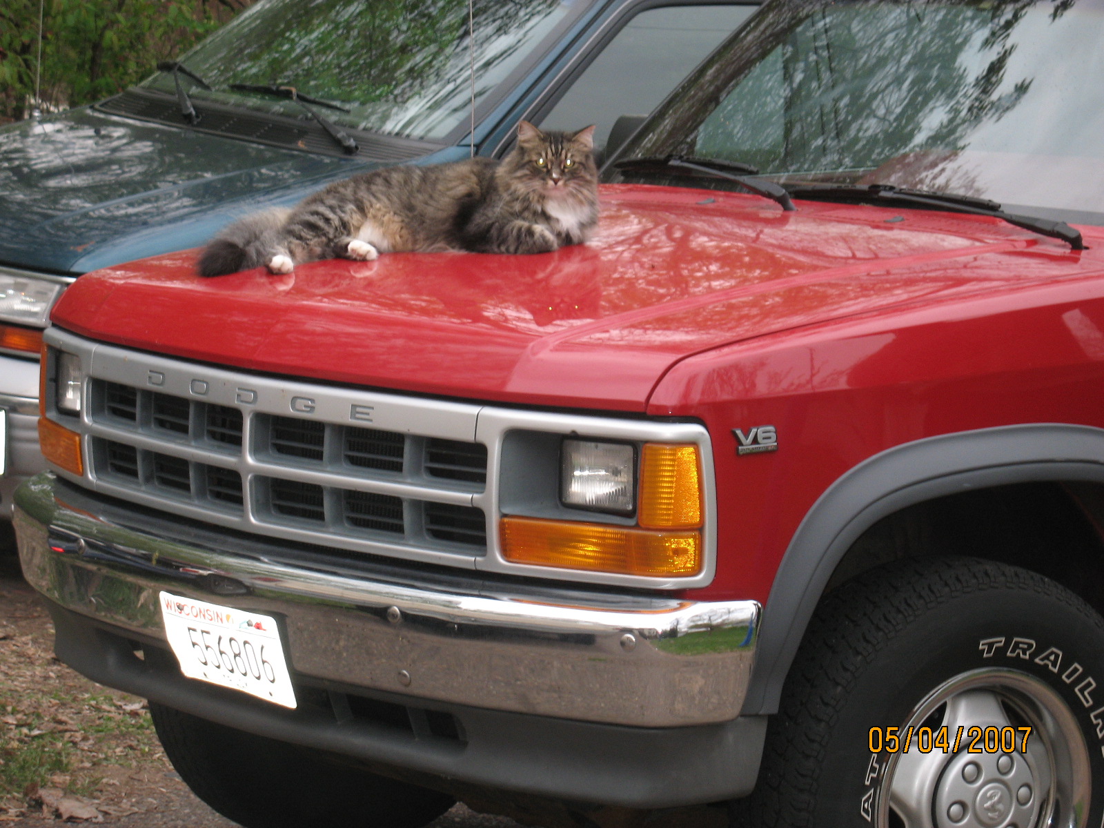 1991 Dodge Dakota Reg Cab 6 5