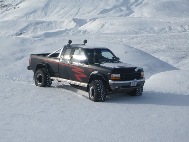 1991 Dodge Dakota Reg Cab 6 5