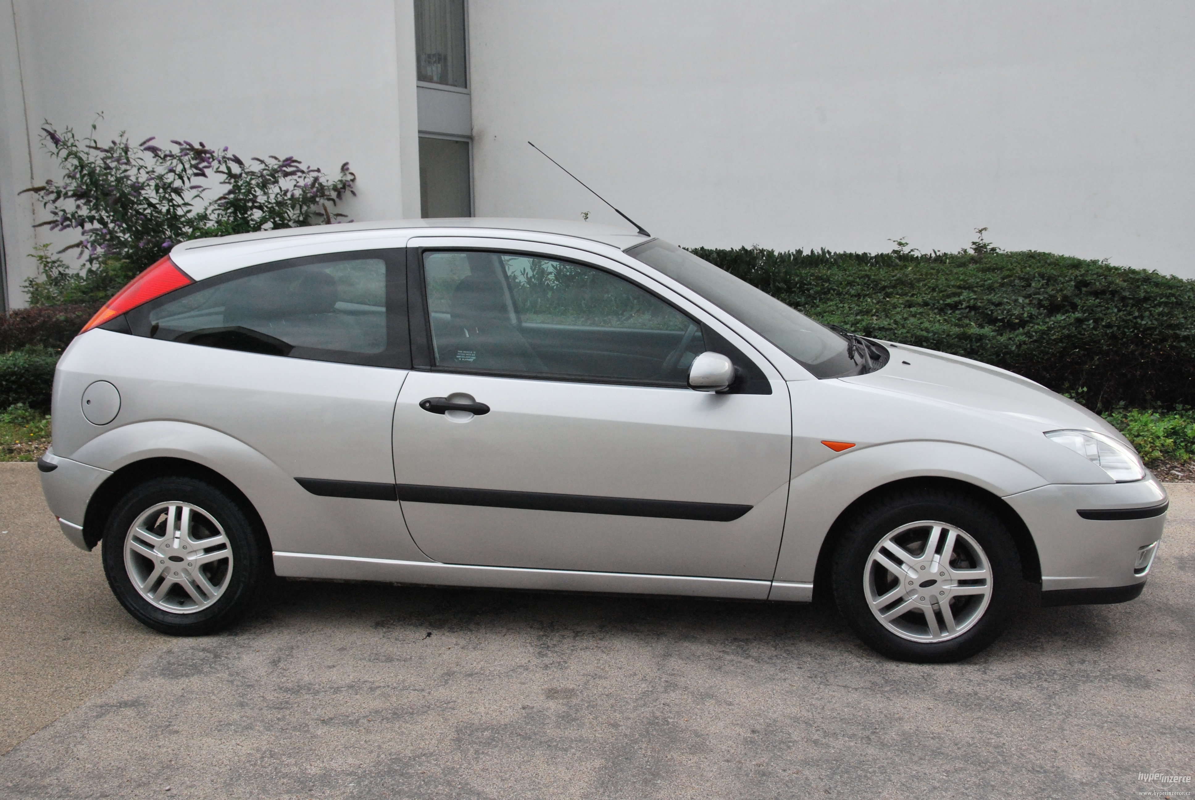 focus 2004